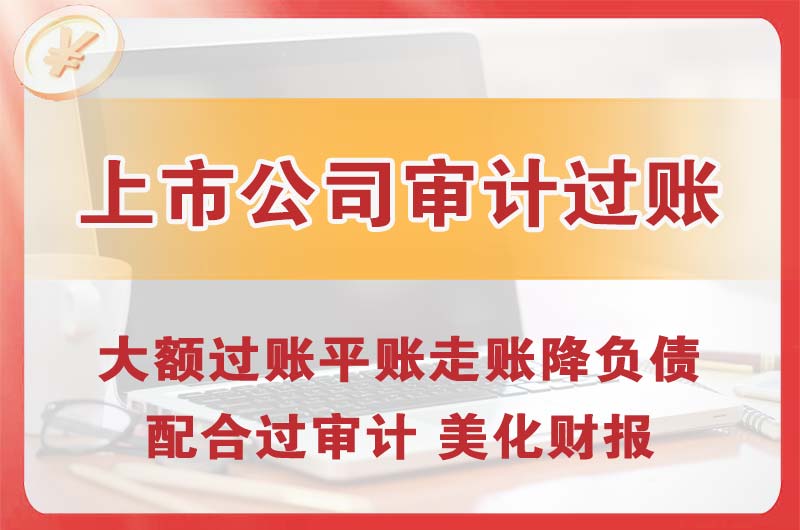 丰城上市公司审计过账